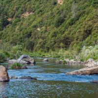American River Property images 4