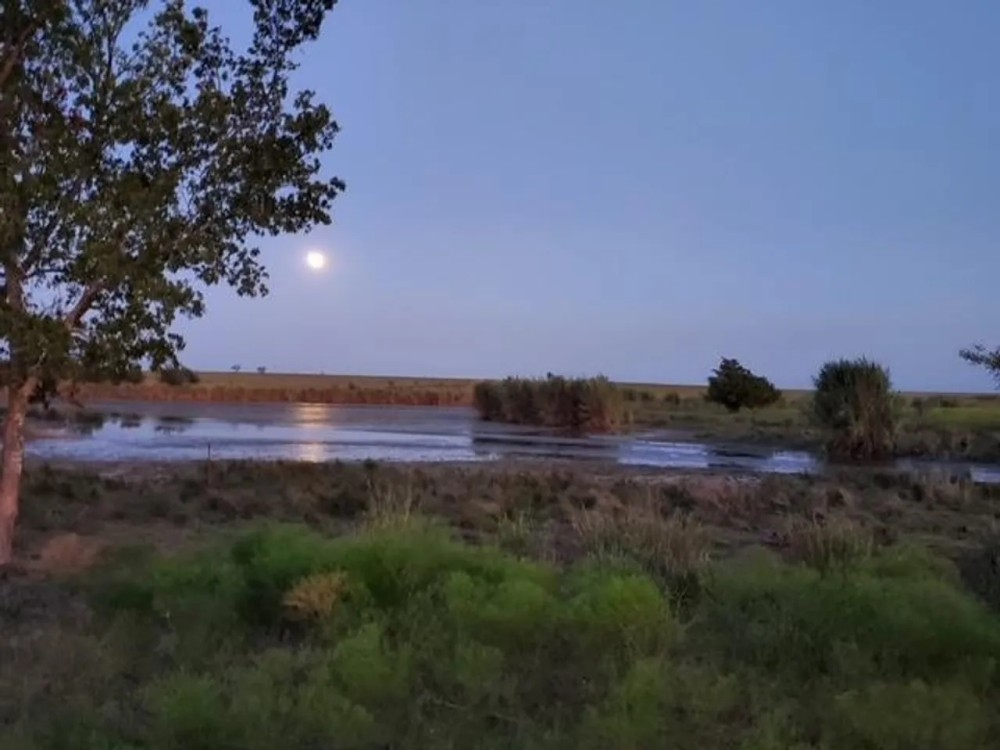 Prairie Lake Ranch featured image