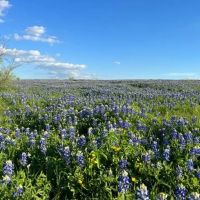 Prairie Lake Ranch images 2