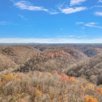 1072 acres of timberland located in Clay County Tennessee