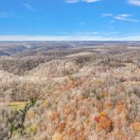 1072 acres of timberland located in Clay County Tennessee images 3