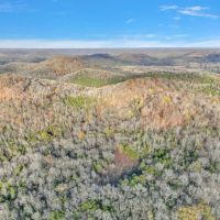 1072 acres of timberland located in Clay County Tennessee images 5