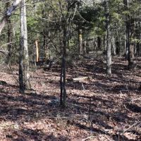 Pigeon Creek images 2