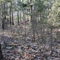 Pigeon Creek images 3