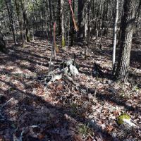 Pigeon Creek images 4