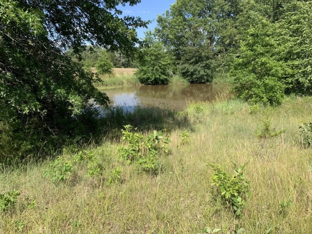 Moberly Whitetail Tract 15 featured image