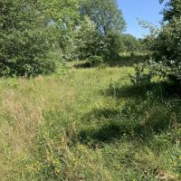Moberly Whitetail Tract 15 images 2