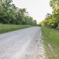 Eddy Ridge Rd - 120 acres - Washington County images 2