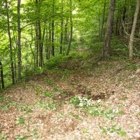 Eddy Ridge Rd - 120 acres - Washington County images 4