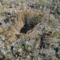 Hunting Recreational Land for Sale on the Pearl River images 3