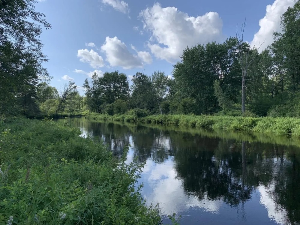 Middle Branch of the Oswegatchie featured image