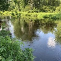 Middle Branch of the Oswegatchie images 2