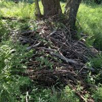 Middle Branch of the Oswegatchie images 4