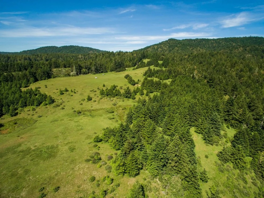 Biaggi Ranch featured image