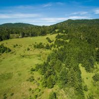 Biaggi Ranch