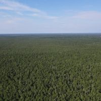 1 287 - Acres of Recreational Land For Sale in Carteret and Craven Counties NC images 2