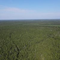 1 287 - Acres of Recreational Land For Sale in Carteret and Craven Counties NC images 3