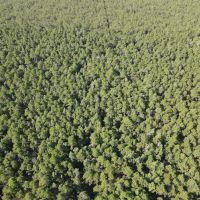 1 287 - Acres of Recreational Land For Sale in Carteret and Craven Counties NC images 4