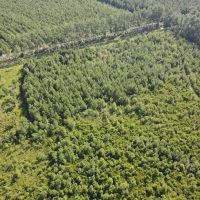 1 287 - Acres of Recreational Land For Sale in Carteret and Craven Counties NC images 5
