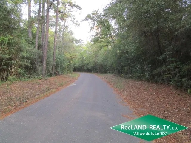 10.4 ac - Wooded Home Site Tract - PRICE REDUCED featured image