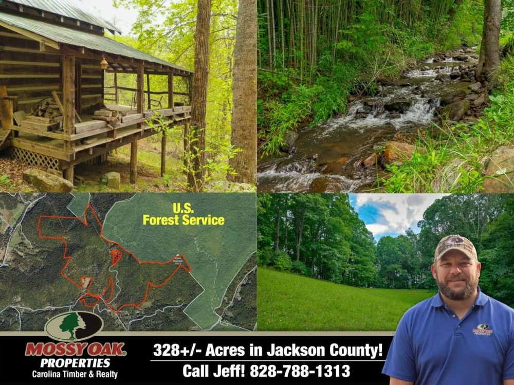328 - Acres in Jackson County featured image