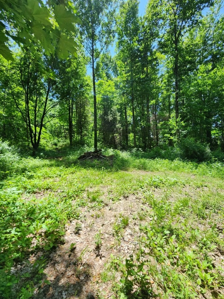 4.57 Acres Sunman IN featured image