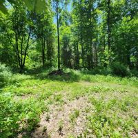 4.57 Acres Sunman IN