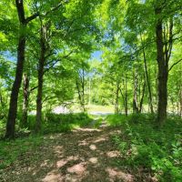 4.57 Acres Sunman IN images 2