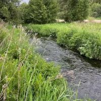 Hawk Creek Ranch images 4
