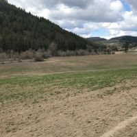 Hawk Creek Ranch images 5