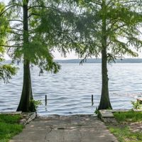 Lake D Arbonne Home for Sale Downsville LA images 5