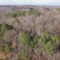 38.13 acres of Residential and Recreational Land For Sale in Cabarrus County NC images 4