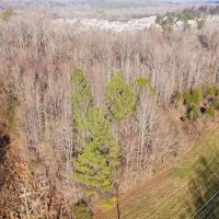 38.13 acres of Residential and Recreational Land For Sale in Cabarrus County NC images 5