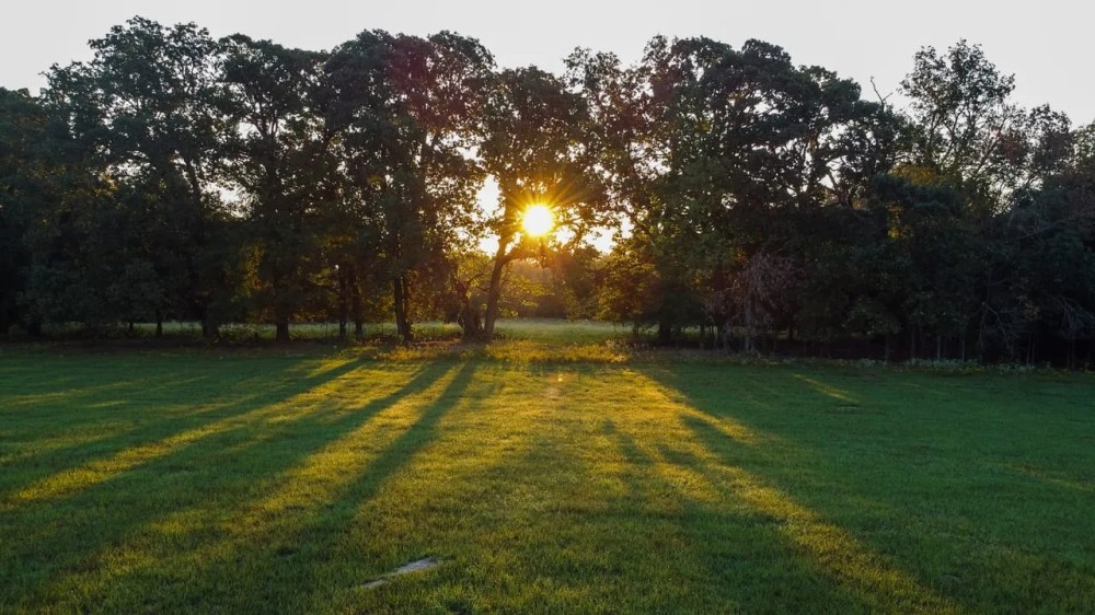 112 Acre Recreational Land in Lamar County TX featured image