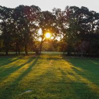 112 Acre Recreational Land in Lamar County TX