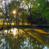 112 Acre Recreational Land in Lamar County TX images 2