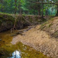 112 Acre Recreational Land in Lamar County TX images 3