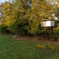 112 Acre Recreational Land in Lamar County TX images 4