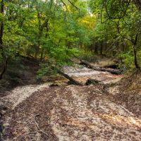 112 Acre Recreational Land in Lamar County TX images 5