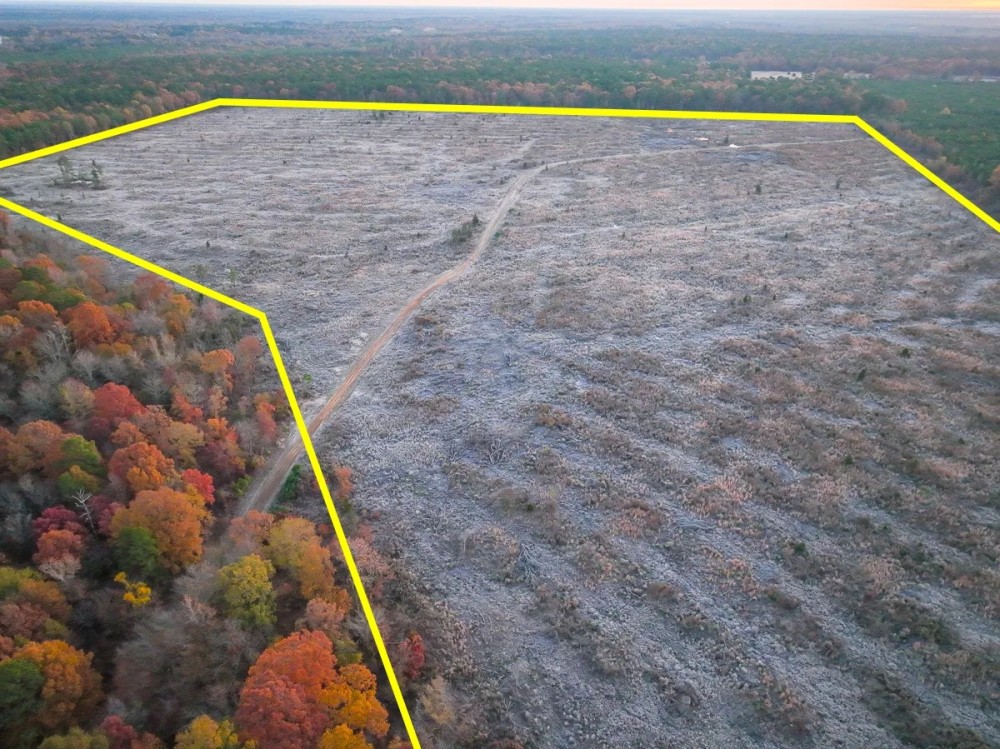 208 Acres CR 2108 Kiskadee featured image