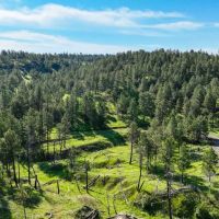 Black Hills Retreat images 2
