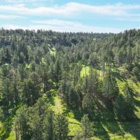 Black Hills Retreat images 3