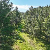 Black Hills Retreat images 4