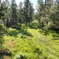 Black Hills Retreat images 5