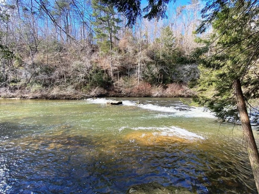 Bear Creek Hideaway featured image