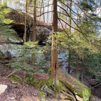 Bear Creek Hideaway images 2
