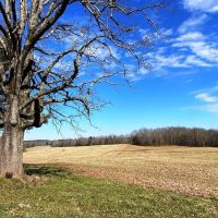 Bear Creek Hideaway images 4