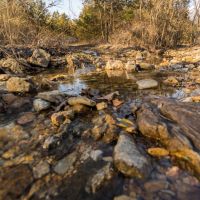 Timber Knobs Ranch images 3