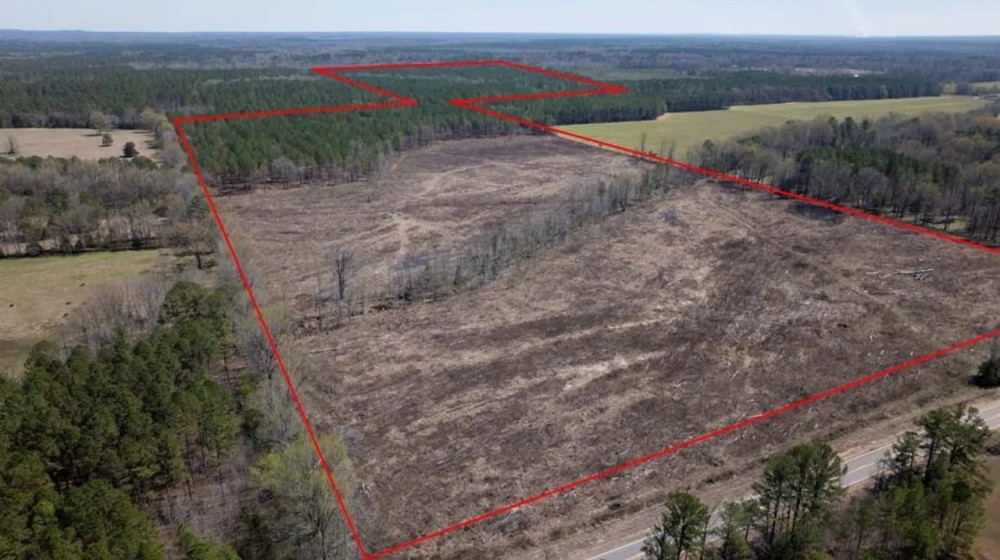 Chickasaw County - 176 Acres - Hwy 15 - Mantee MS featured image