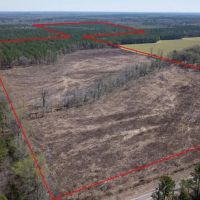 Chickasaw County - 176 Acres - Hwy 15 - Mantee MS